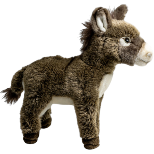 Preview: Esel grau-braun stehend