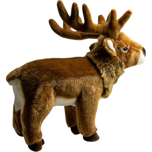 Preview: Deer, Stag standing