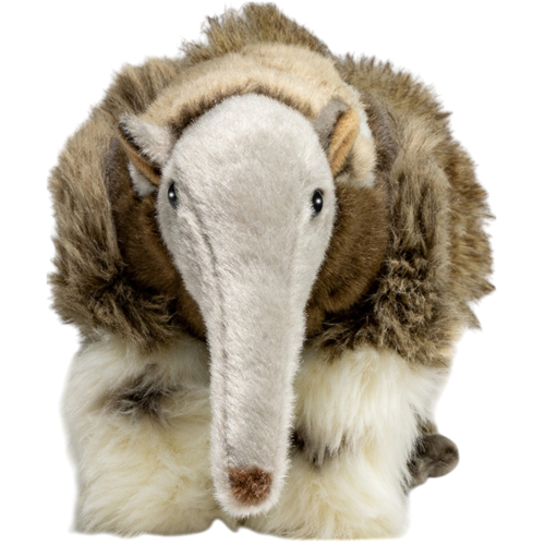 Preview: Anteater