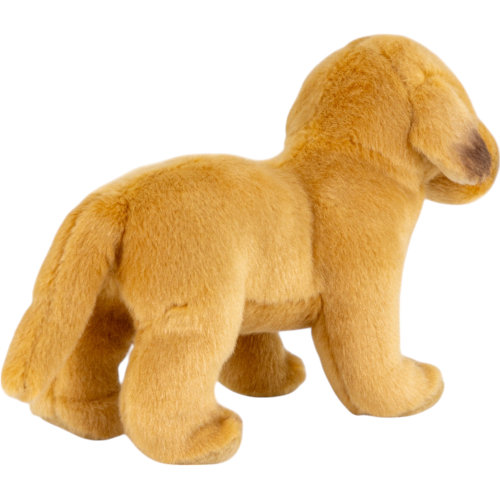 Preview: Labrador stehend