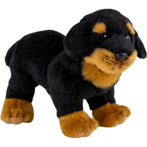 Preview: Rottweiler stehend