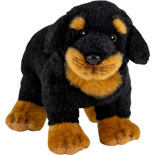 Preview: Rottweiler stehend