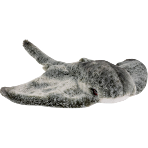 Preview: Ray, Stingray