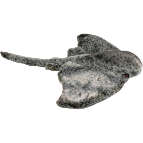 Preview: Ray, Stingray