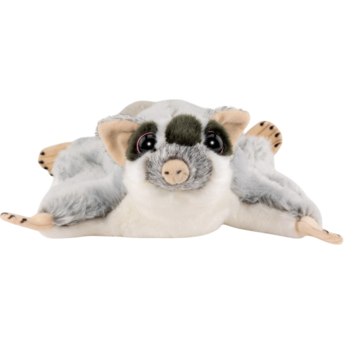 Preview: Flying Squirrel, Sugar Glider