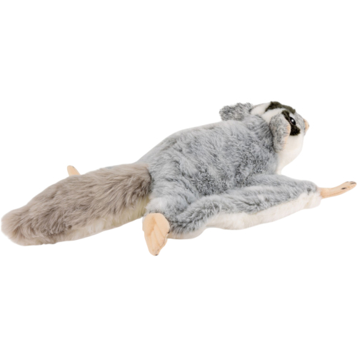 Preview: Flying Squirrel, Sugar Glider