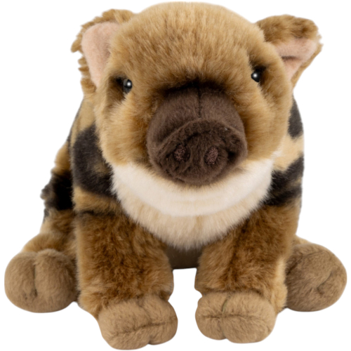 Preview: Wild Boar Baby sitting