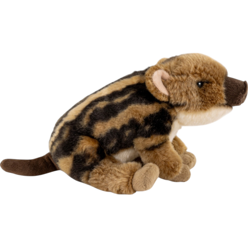 Preview: Wild Boar Baby sitting