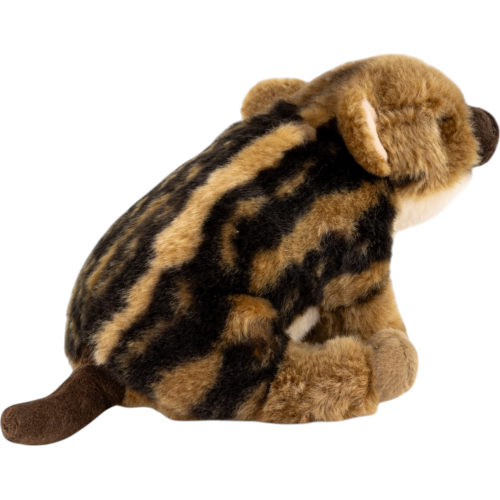 Preview: Wild Boar Baby sitting