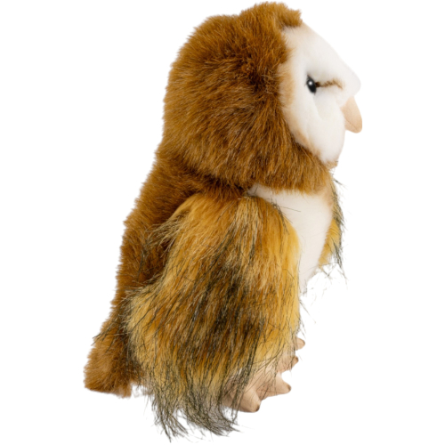 Preview: Eule, Schleier-Eule