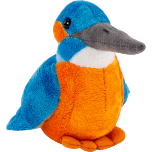 Preview: Kingfisher bird