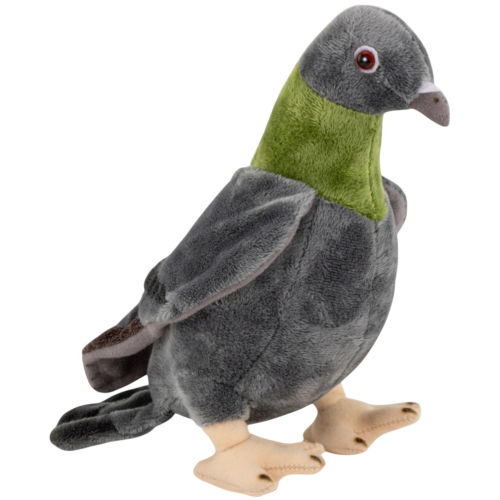 Preview: Taube, Stadt-Taube