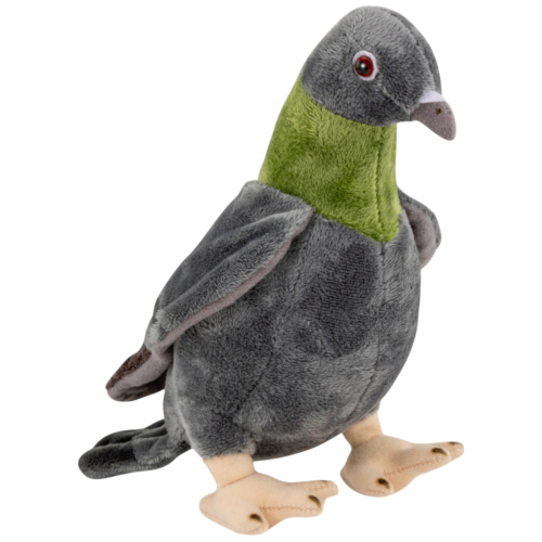 Preview: Taube, Stadt-Taube