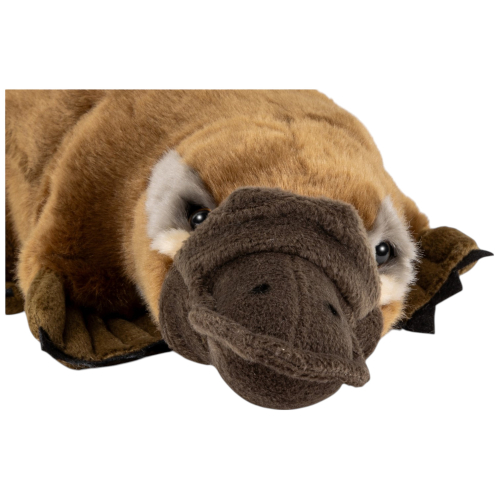 Preview: Schnabeltier