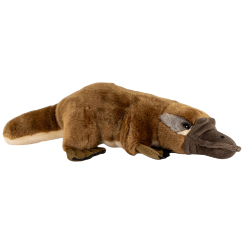 Preview: Schnabeltier