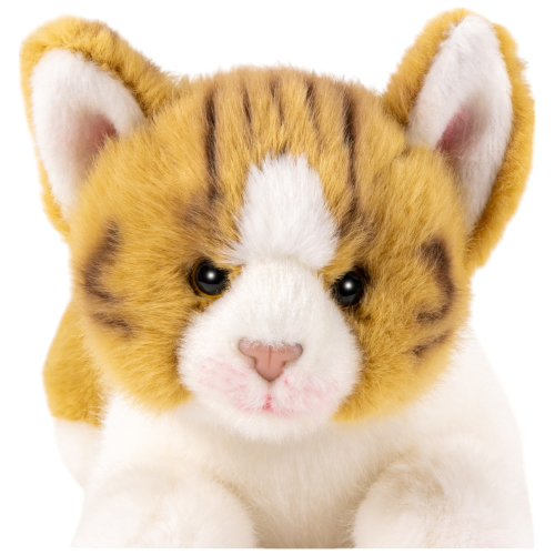 Preview: Cat lying brown-white