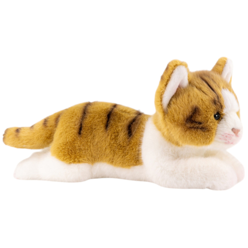 Preview: Cat lying brown-white