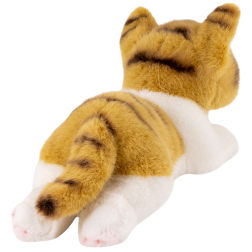 Preview: Cat lying brown-white