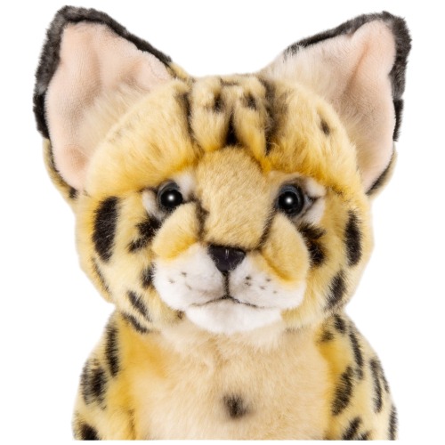 Preview: Serval Katze