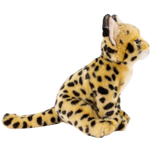 Preview: Serval Katze