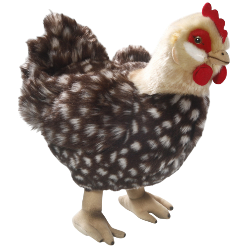 Preview: Huhn, Henne mit Ei