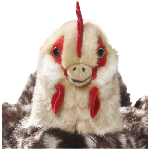 Preview: Huhn, Henne mit Ei