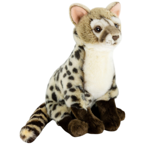 Preview: Ginsterkatze