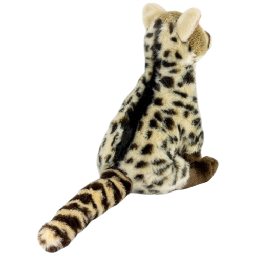 Preview: Ginsterkatze