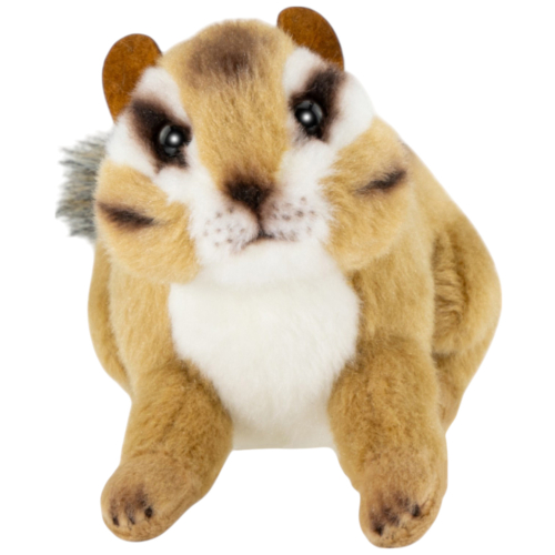 Preview: Streifenhörnchen stehend