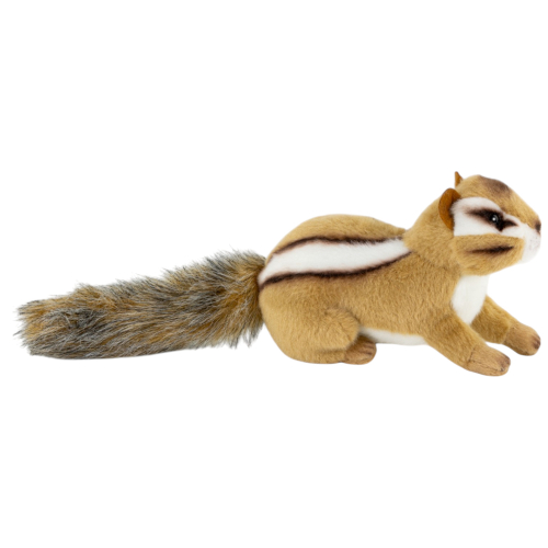 Preview: Streifenhörnchen stehend