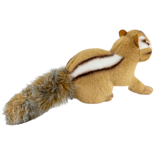 Preview: Streifenhörnchen stehend