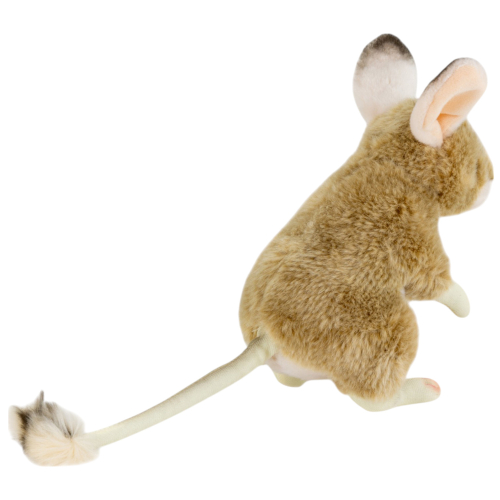 Preview: Wüsten-Springmaus