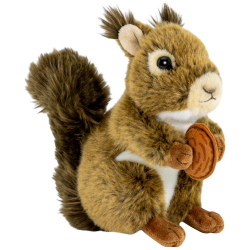 Preview: Eichhörnchen mit Nuss