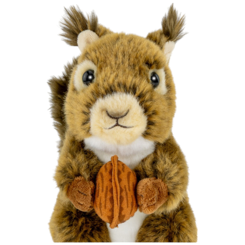 Preview: Eichhörnchen mit Nuss