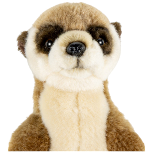 Preview: Erdmännchen