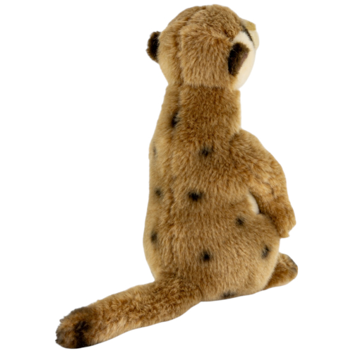 Preview: Erdmännchen