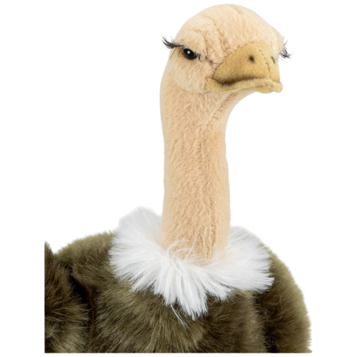 Preview: Ostrich