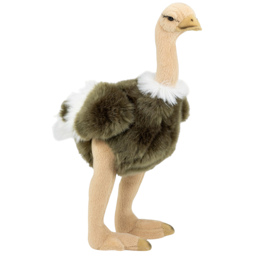 Preview: Ostrich