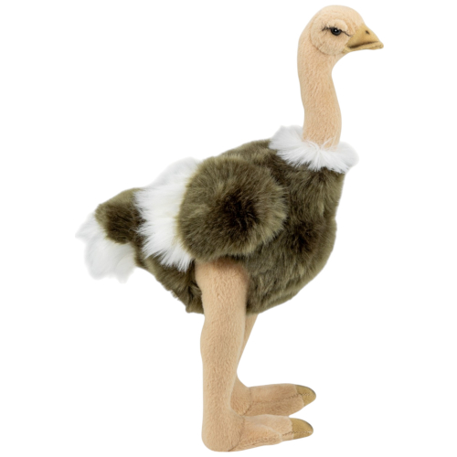 Preview: Ostrich