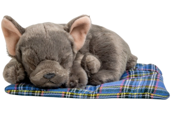 Carl Dick Plush Toy French Bulldog