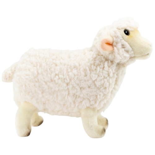 Preview: Schaf weiß, Lamm stehend