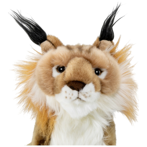 Preview: Lynx sitting