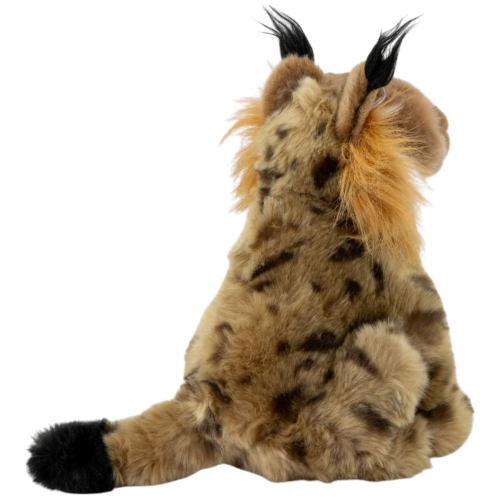 Preview: Lynx sitting