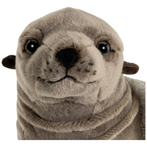 Preview: Seehund, Robbe grau