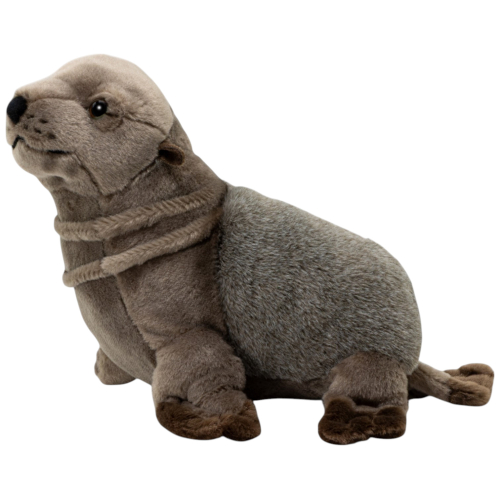 Preview: Seehund, Robbe grau