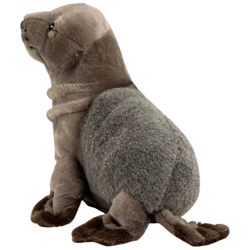 Preview: Seehund, Robbe grau