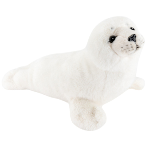 Preview: Seehund, Robbe weiß