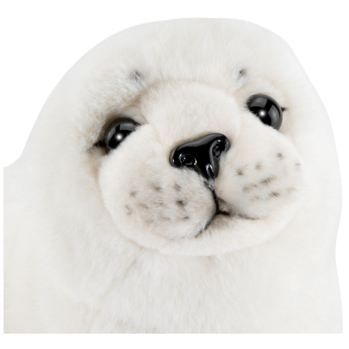 Preview: Seehund, Robbe weiß