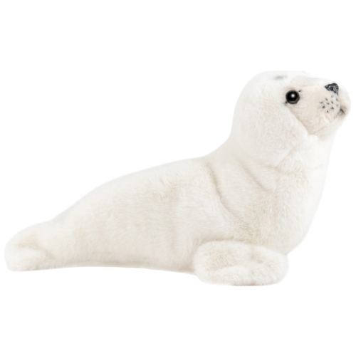 Preview: Seehund, Robbe weiß