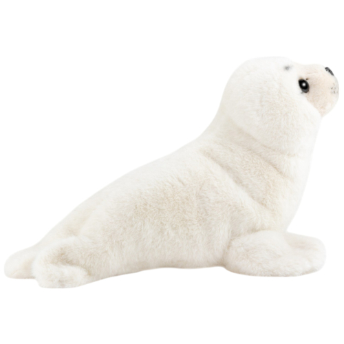 Preview: Seehund, Robbe weiß